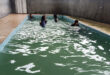 Kolam Renang Murah, Cabawan - Dukuhturi, Kabupaten Tegal, Jawa Tengah
