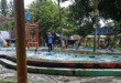 Waterboom Hijau (agrowisata Mbesaran Hijau) Jatibarang, Kabupaten Brebes, Jawa Tengah