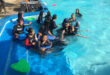 Setetes Swimming Pool (kolam Renang Setetes Tepusan) - Grabag